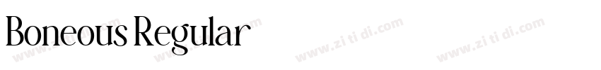 Boneous Regular字体转换 Boneous Regular字体转换